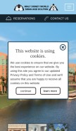 How swandolphin.com looks like on a mobile device such as an iPhone.