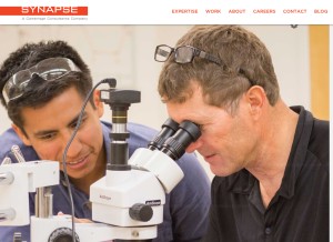 How synapse.com looks like on a tablet such as an iPad.