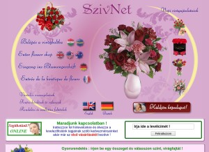How sziv.net looks like on a tablet such as an iPad.