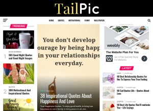 How tailpic.com looks like on a tablet such as an iPad.