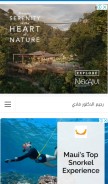 How taisha-diet.com looks like on a mobile device such as an iPhone.