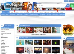 How tapeciarnia.pl looks like on a tablet such as an iPad.