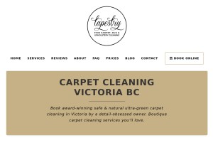 How tapestryfinecarpetcleaning.ca looks like on a tablet such as an iPad.