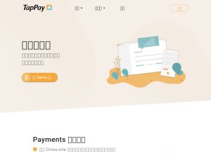 How tappaysdk.com looks like on a tablet such as an iPad.