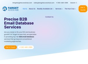 How targetaccesshub.com looks like on a tablet such as an iPad.