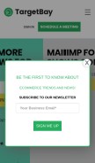 How targetbay.com looks like on a mobile device such as an iPhone.