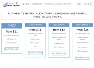 How targetedwebtraffic.com looks like on a tablet such as an iPad.