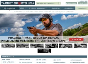 How targetsportsusa.com looks like on a tablet such as an iPad.