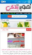 How tasvirezendegi.com looks like on a mobile device such as an iPhone.
