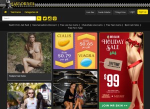 How taxidrivermovie.com looks like on a tablet such as an iPad.