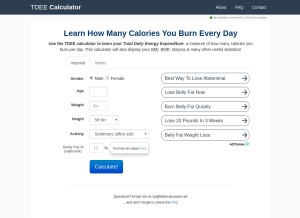 How tdeecalculator.net looks like on a tablet such as an iPad.