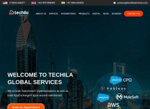 How techilaservices.com looks like on a tablet such as an iPad.
