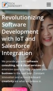 How technanosoft.com looks like on a mobile device such as an iPhone.