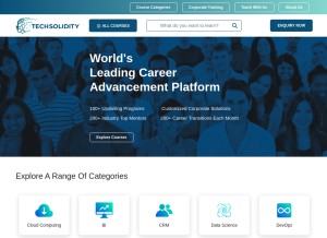 How techsolidity.com looks like on a tablet such as an iPad.