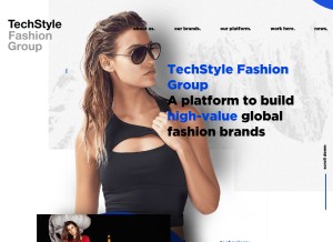 How techstyle.com looks like on a tablet such as an iPad.