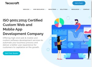 How tecocraft.com looks like on a tablet such as an iPad.