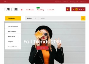 How temestore.com looks like on a tablet such as an iPad.