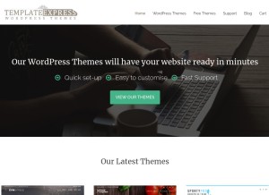 How templateexpress.com looks like on a tablet such as an iPad.