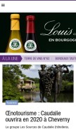 How terredevins.com looks like on a mobile device such as an iPhone.