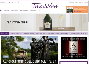 How terredevins.com looks like on a tablet such as an iPad.