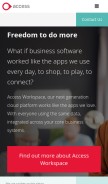 How theaccessgroup.com looks like on a mobile device such as an iPhone.