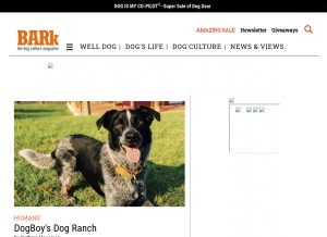 How thebark.com looks like on a tablet such as an iPad.