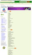 How thedirectorylistings.org looks like on a mobile device such as an iPhone.
