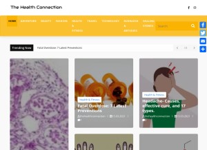 How thehealthconnection.blog looks like on a tablet such as an iPad.
