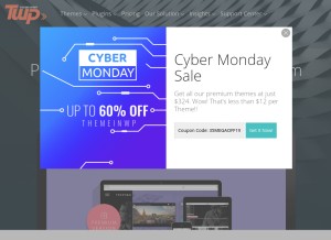 How themeinwp.com looks like on a tablet such as an iPad.