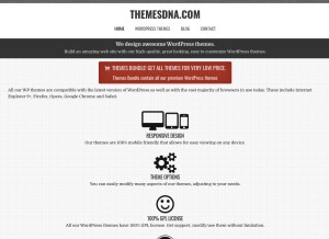 How themesdna.com looks like on a tablet such as an iPad.