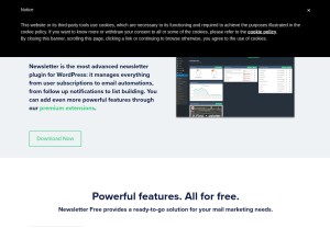 How thenewsletterplugin.com looks like on a tablet such as an iPad.