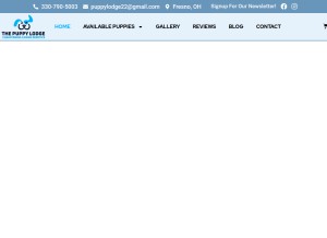 How thepuppylodge.com looks like on a tablet such as an iPad.