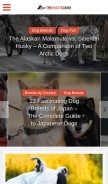 How thesmartcanine.com looks like on a mobile device such as an iPhone.