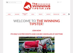 How thewinningtipster.com looks like on a tablet such as an iPad.