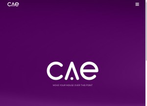 How thisiscae.com looks like on a tablet such as an iPad.