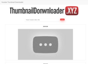 How thumbnaildownloader.xyz looks like on a tablet such as an iPad.