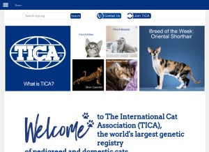 How tica.org looks like on a tablet such as an iPad.