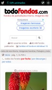 How todofondos.com looks like on a mobile device such as an iPhone.
