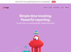 How toggl.com looks like on a tablet such as an iPad.