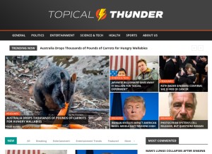 How topicalthunder.com looks like on a tablet such as an iPad.