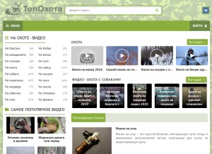 How topohota.com looks like on a tablet such as an iPad.