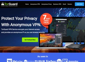 How torguard.net looks like on a tablet such as an iPad.