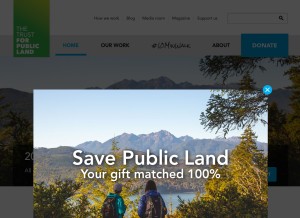 How tpl.org looks like on a tablet such as an iPad.