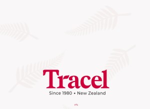 How tracelhealth.com looks like on a tablet such as an iPad.