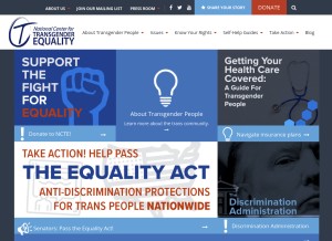 How transequality.org looks like on a tablet such as an iPad.