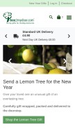 How tree2mydoor.com looks like on a mobile device such as an iPhone.