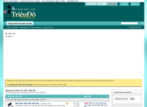 How trieudo.com looks like on a tablet such as an iPad.