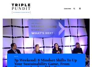 How triplepundit.com looks like on a tablet such as an iPad.