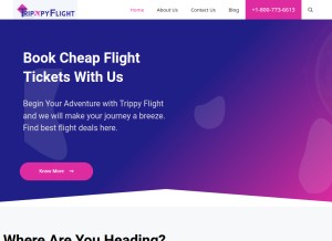 How trippyflight.com looks like on a tablet such as an iPad.