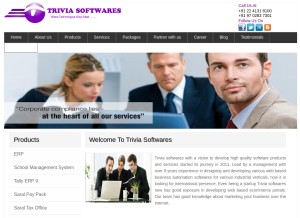 How triviasoftwares.in looks like on a tablet such as an iPad.
